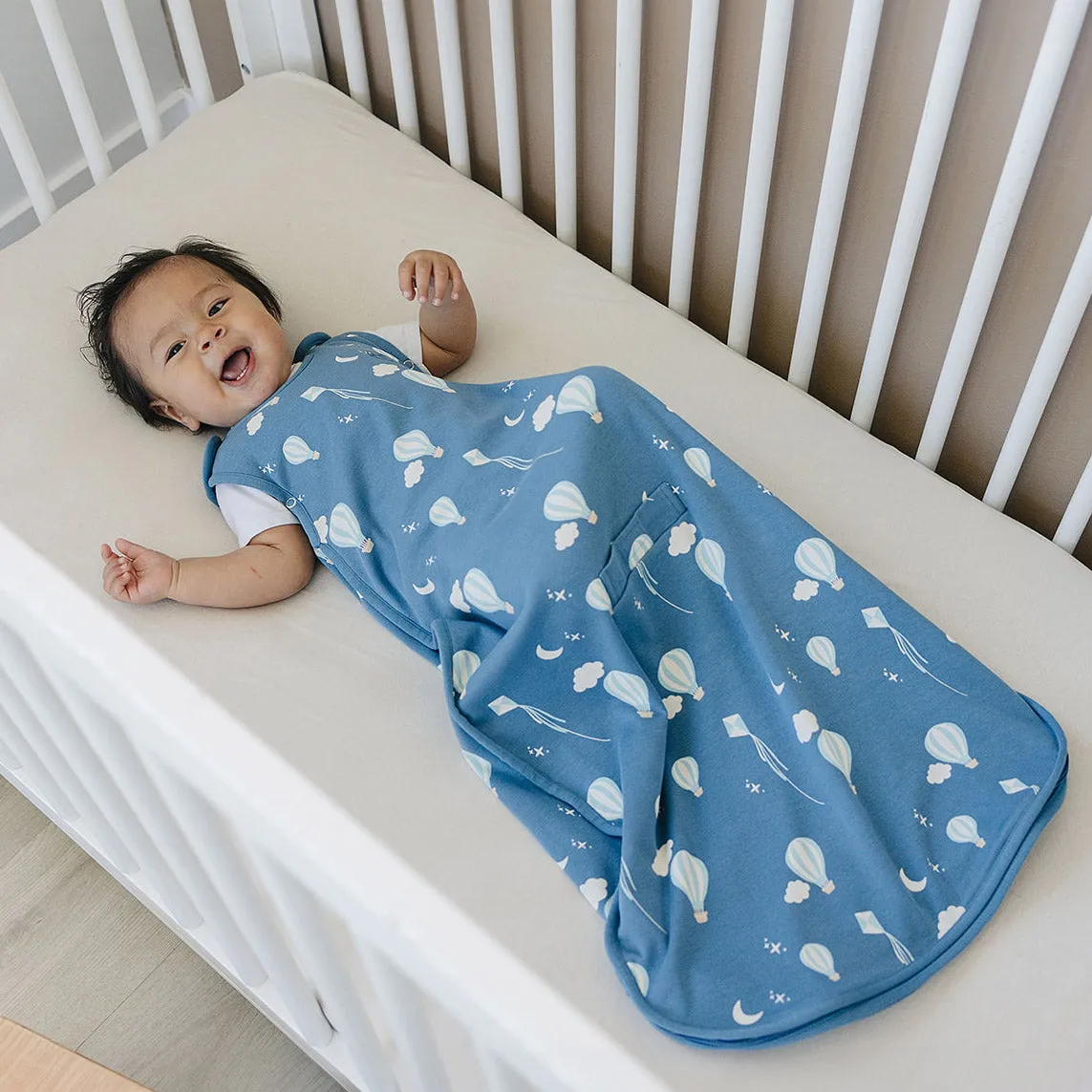 4 Season® Ultimate Baby Sleep Bag, Merino Wool & Organic Cotton, Hot Air Balloon