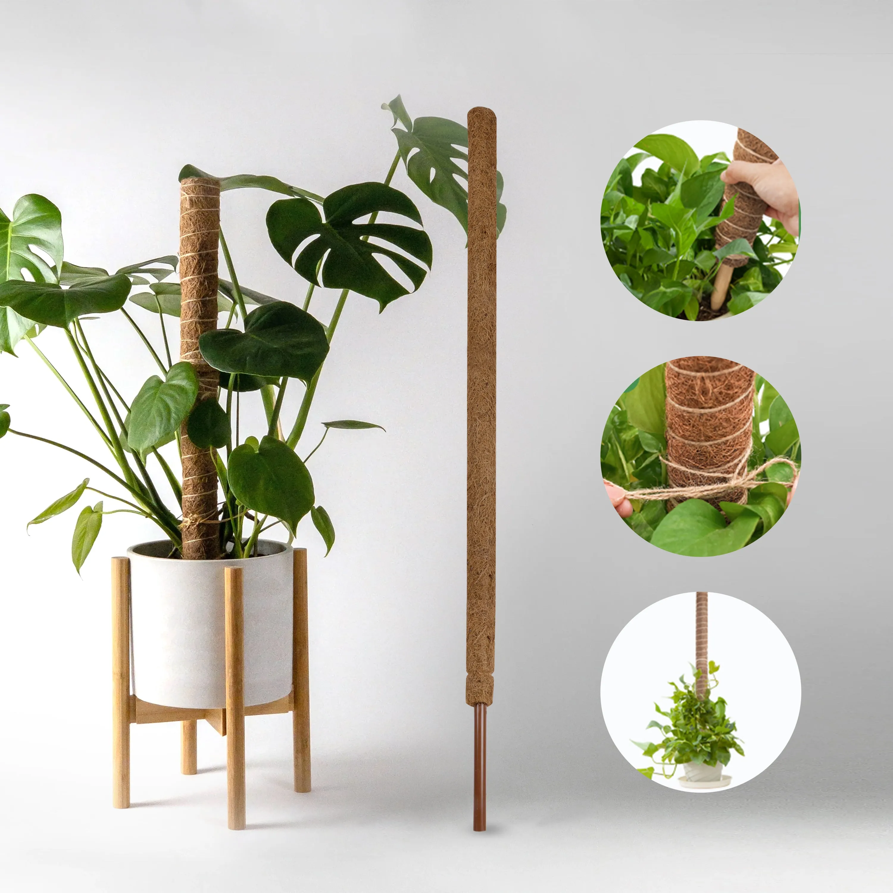 Coco Pole  - 5 Feet |  Coco Peat/ Coir Stick/ Cocopeat for Plants