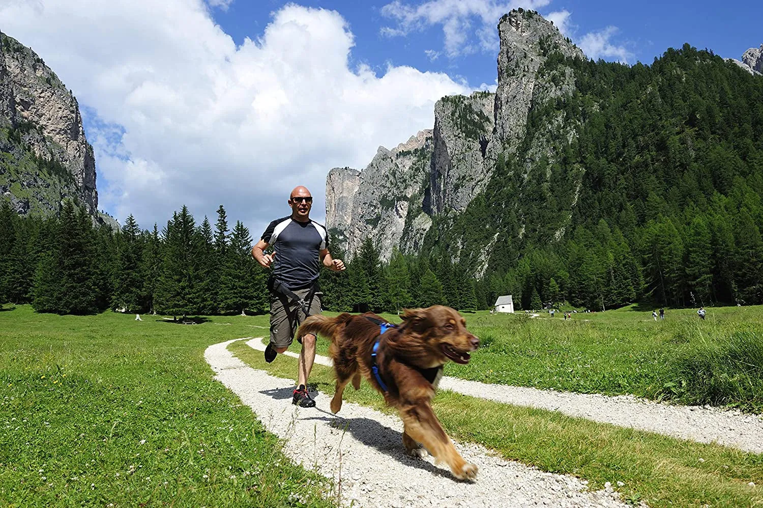 Dog Hiking Harness