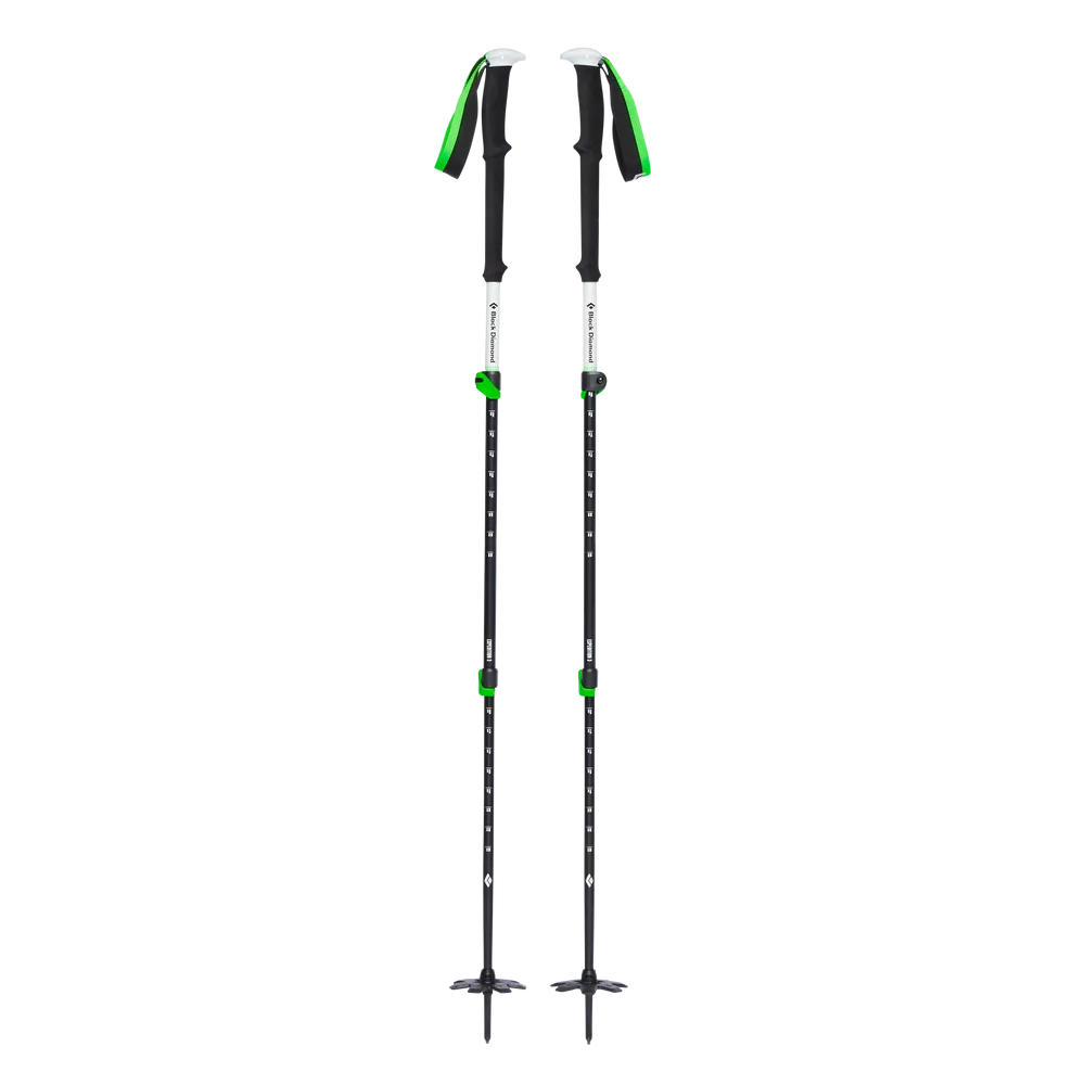 Expedition 3 Ski Poles