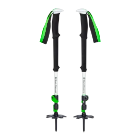 Expedition 3 Ski Poles