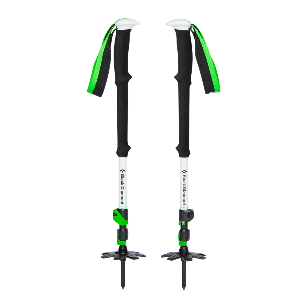 Expedition 3 Ski Poles