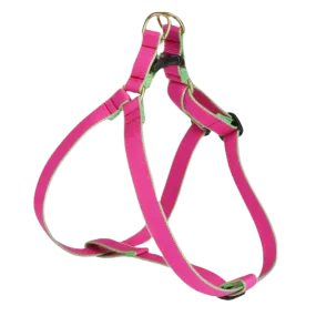 Harness | Bright Pink & Lime