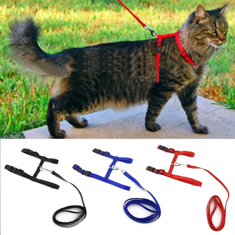 Hot Sale 3 Colors Nylon Products For Pet Cat Harness And Leash Adjustable Pet Traction Harness Belt Cat Kitten Halter Collar