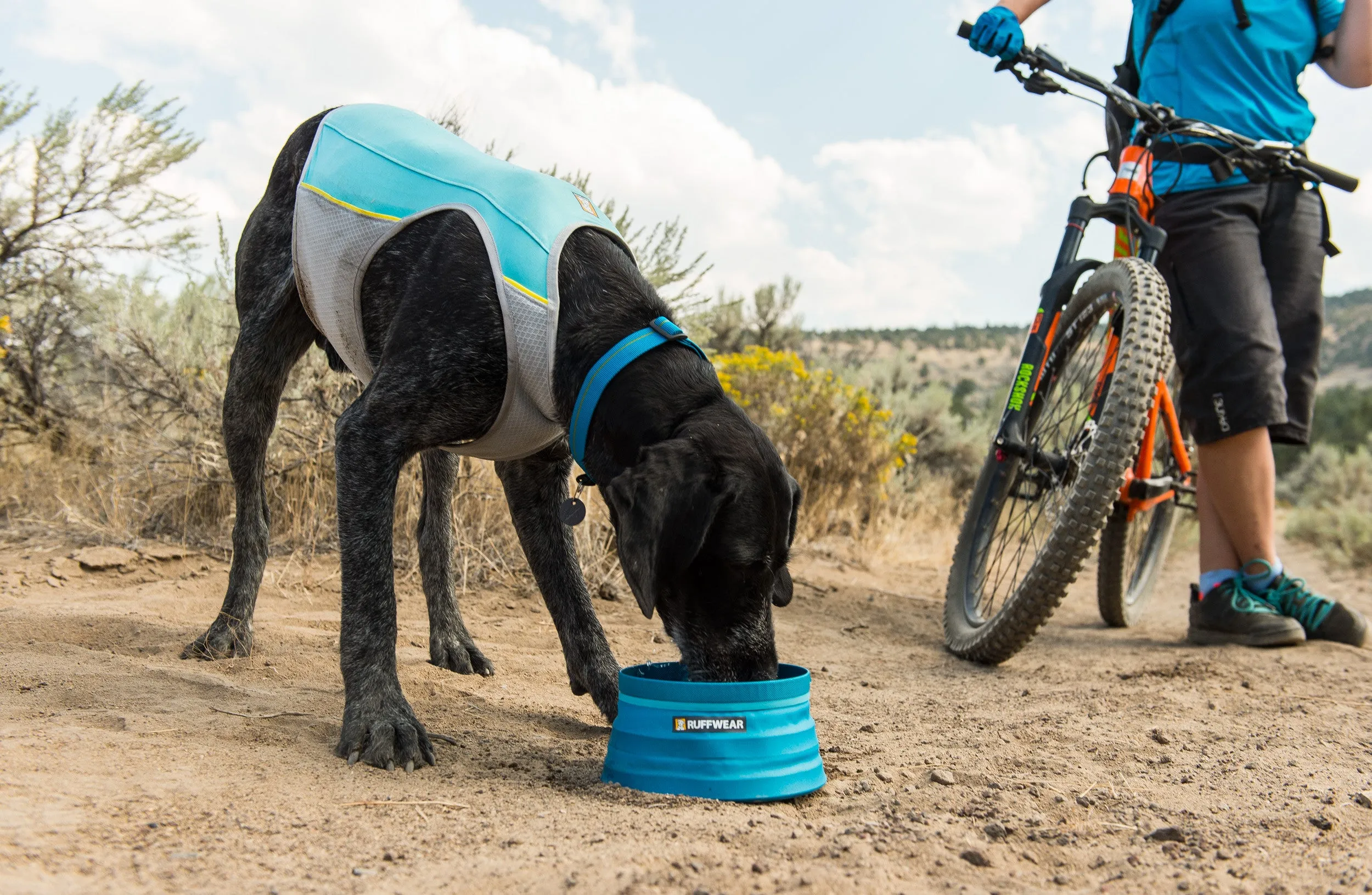 Jet Stream™ Dog Cooling Vest (Blue Lagoon)