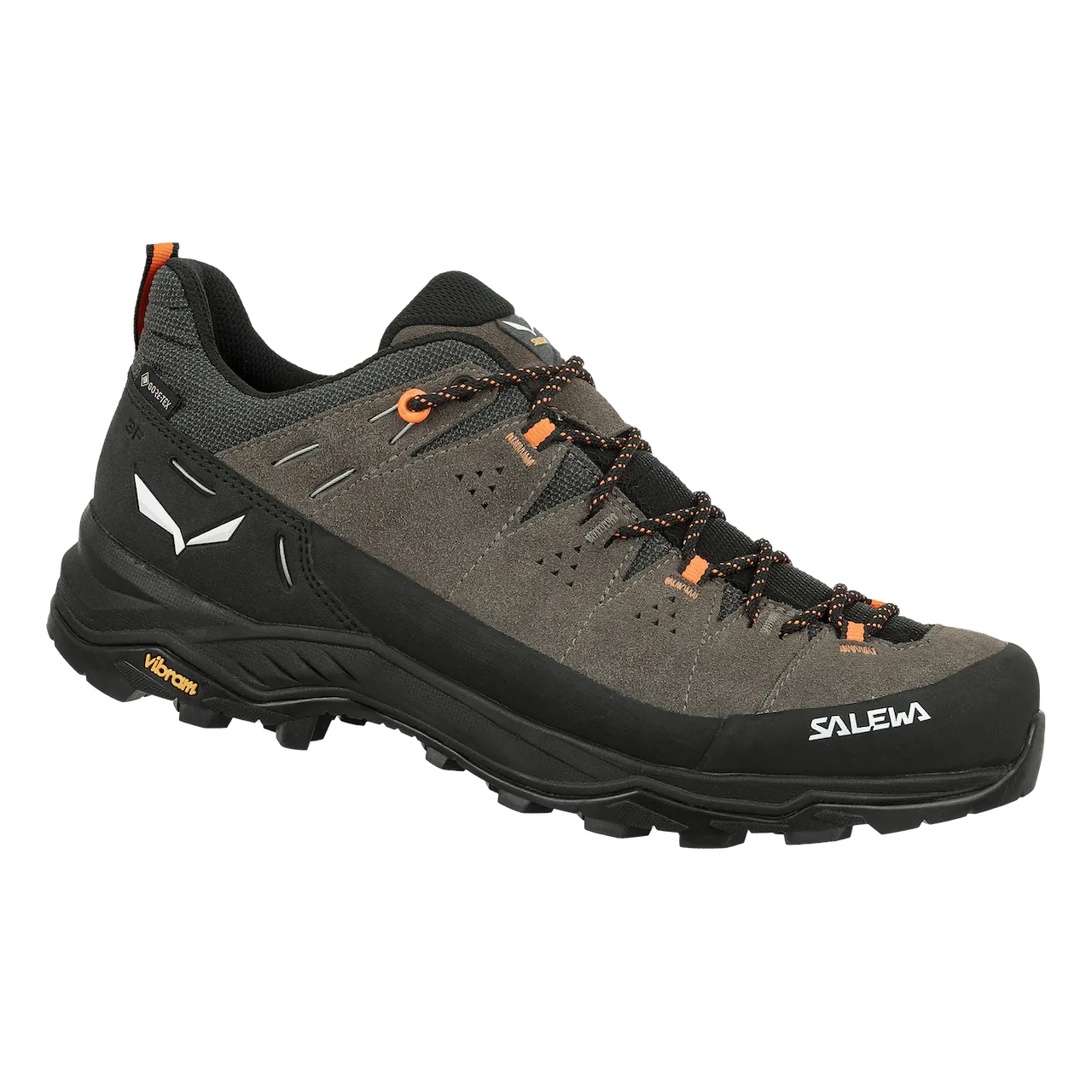 Men's Alp Trainer 2 GTX Boot