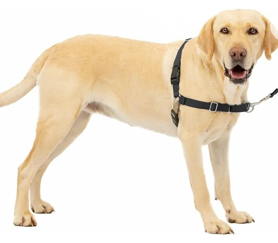 PETSAFE 3 IN 1 HARNESS (no leash included)