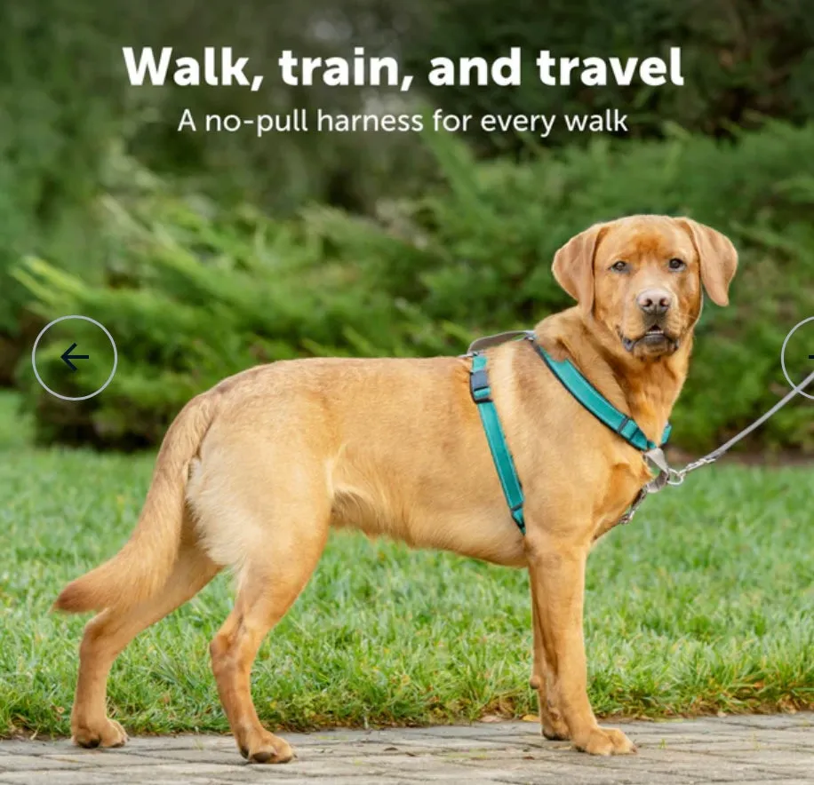 PETSAFE 3 IN 1 HARNESS (no leash included)