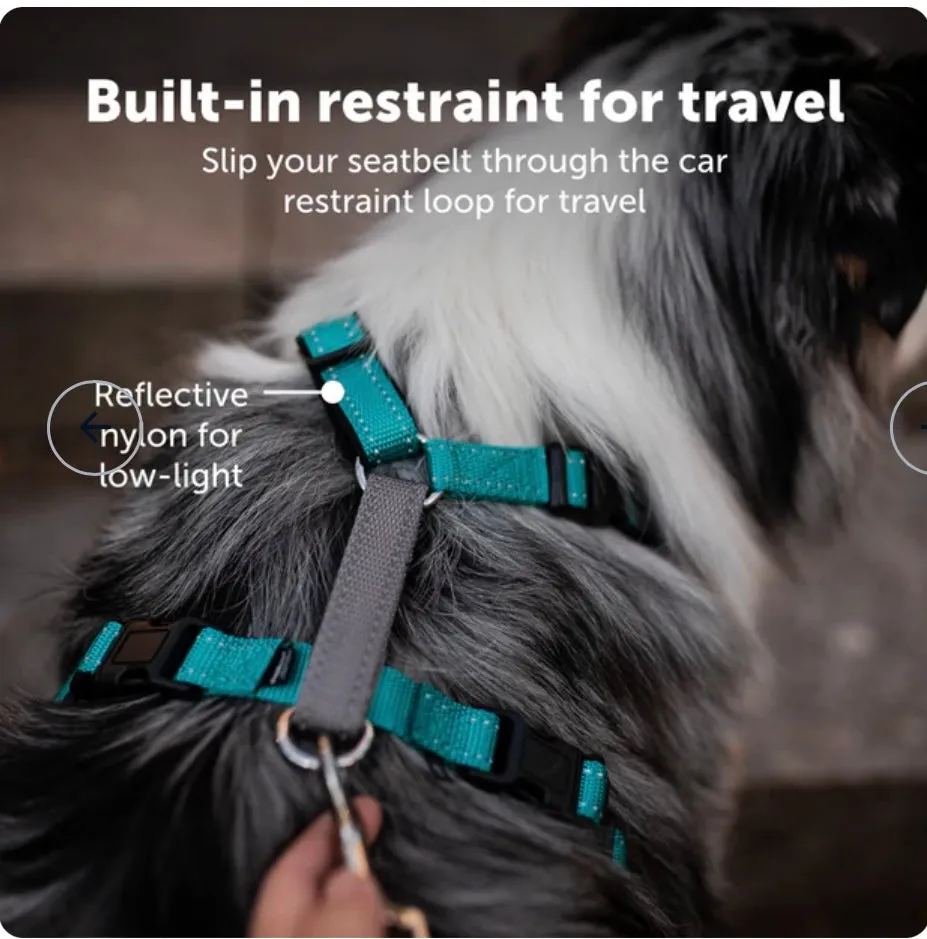 PETSAFE 3 IN 1 HARNESS (no leash included)