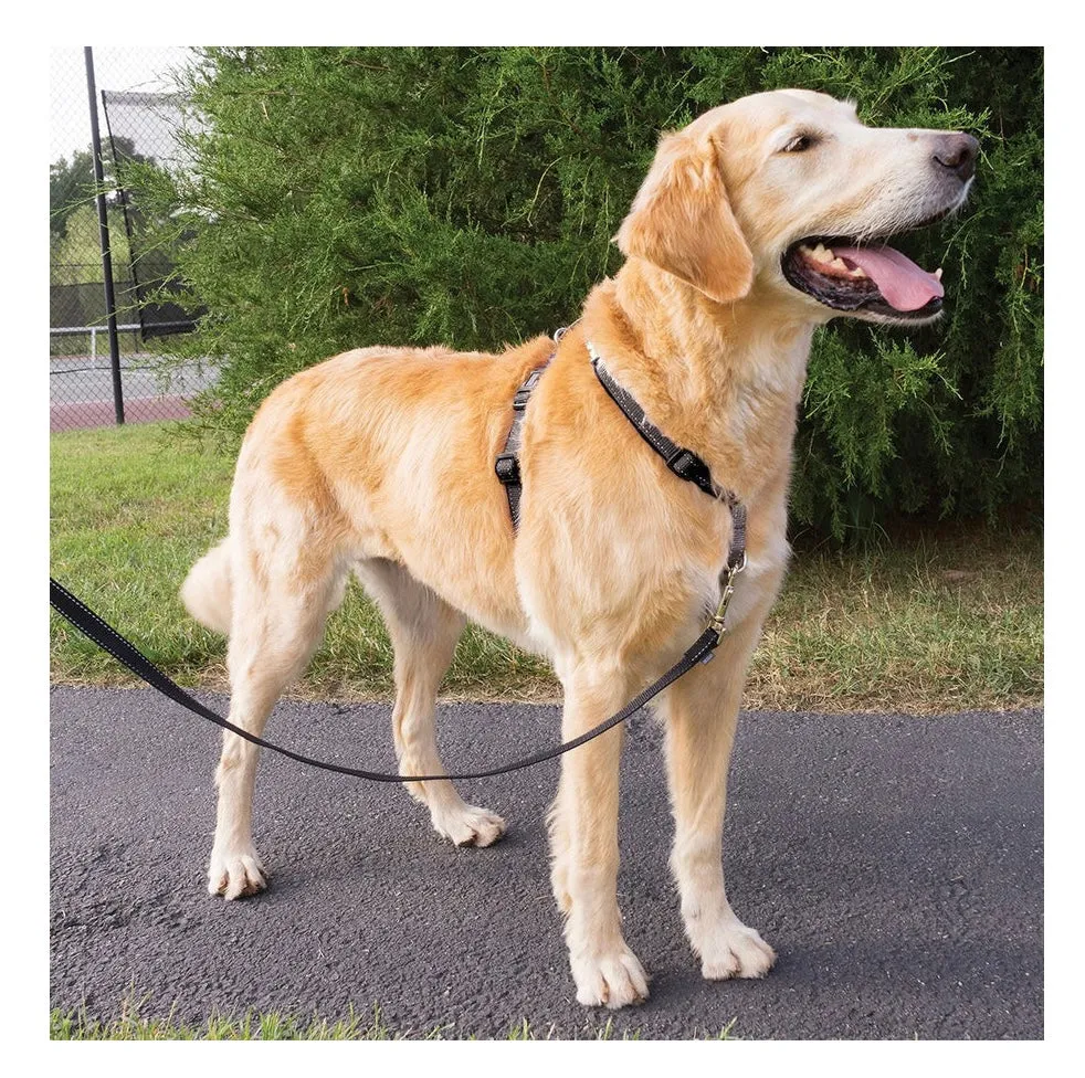 PETSAFE 3 IN 1 HARNESS (no leash included)