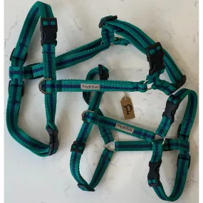 Reg & Bob Harnesses