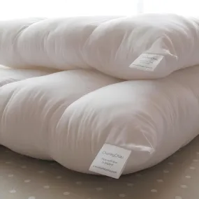 Replacement Deep-Filled Dog Mattresses